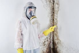 Mold Documentation for Insurance Claims in Crestline, CA